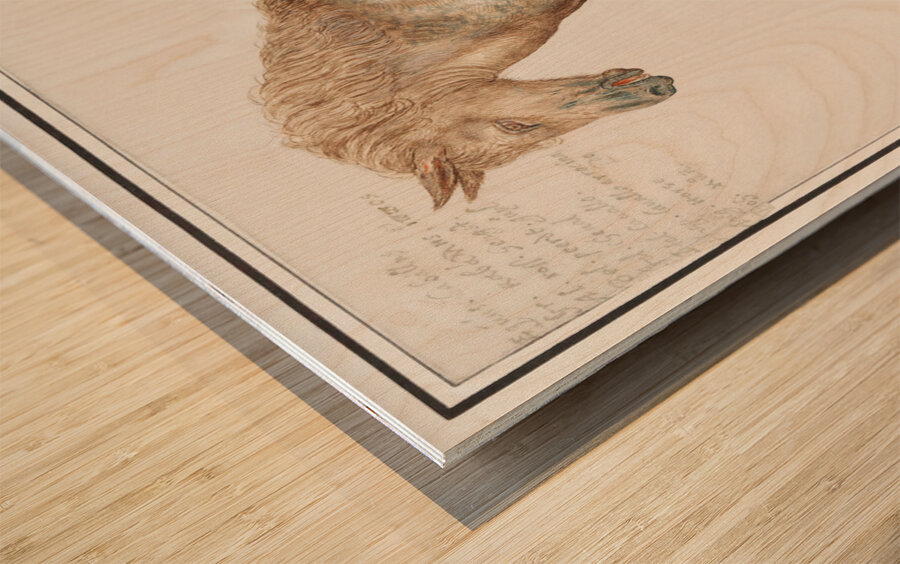 Horse in vintage style Wood print