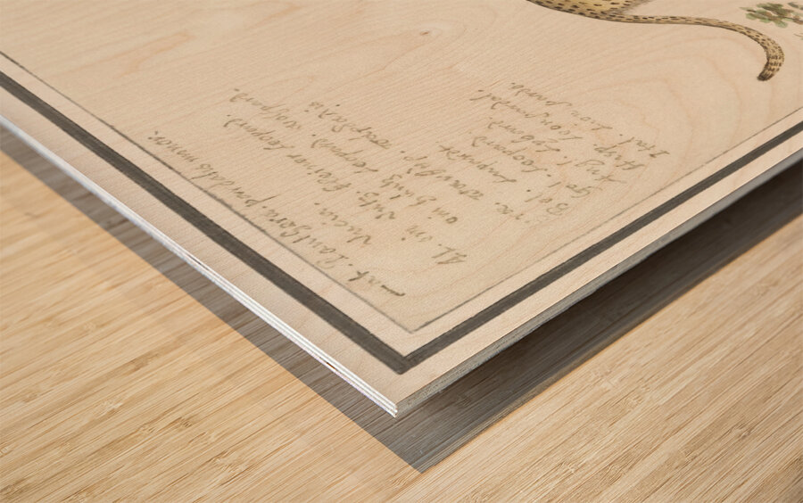 Leopard in vintage style Wood print