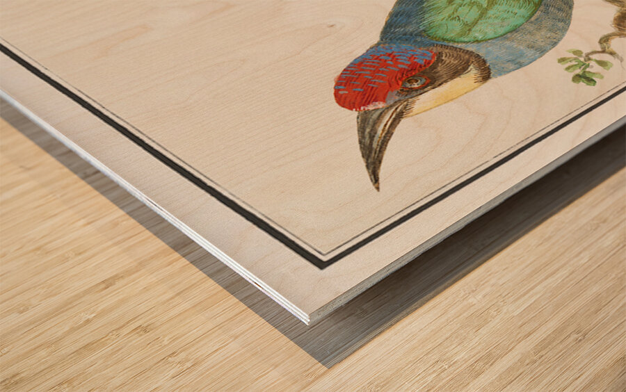 Ibex in vintage style Wood print