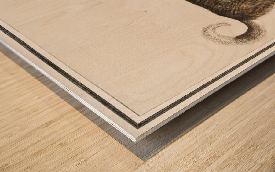 Dog in vintage style Wood print