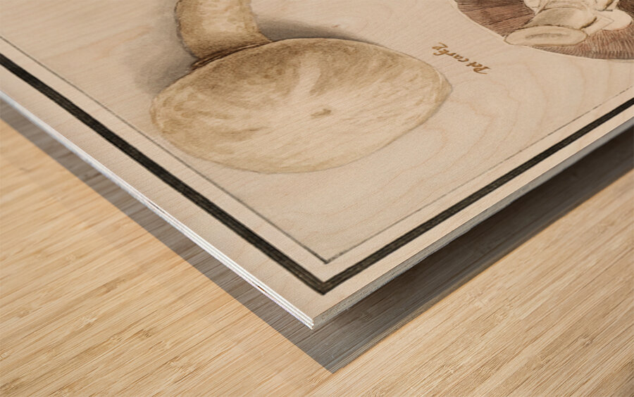 Mushrooms in vintage style Wood print