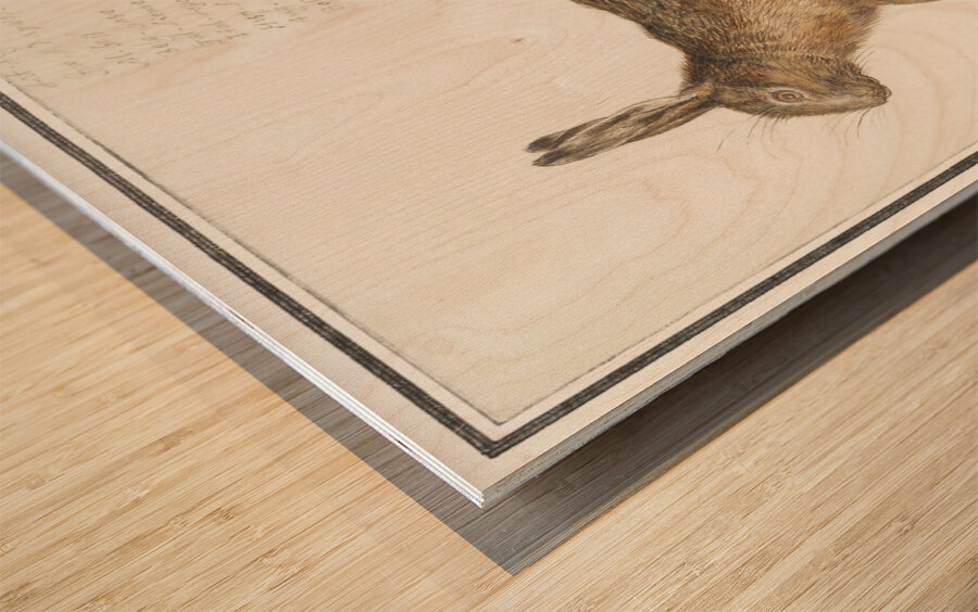 Hare in vintage style Wood print