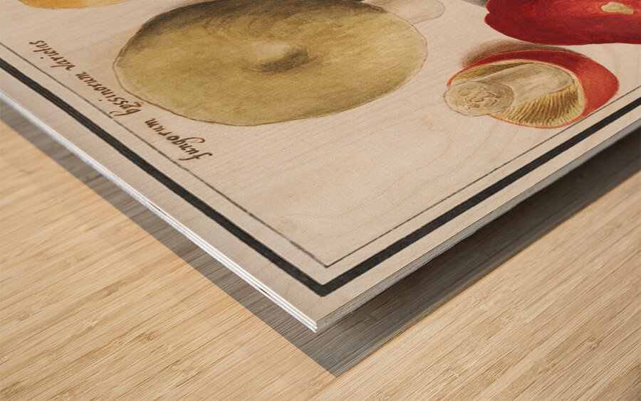 Mushrooms in vintage style Wood print