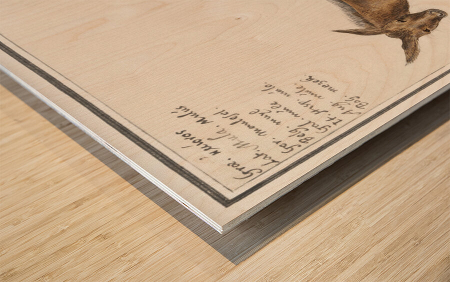 Mule in vintage style Wood print