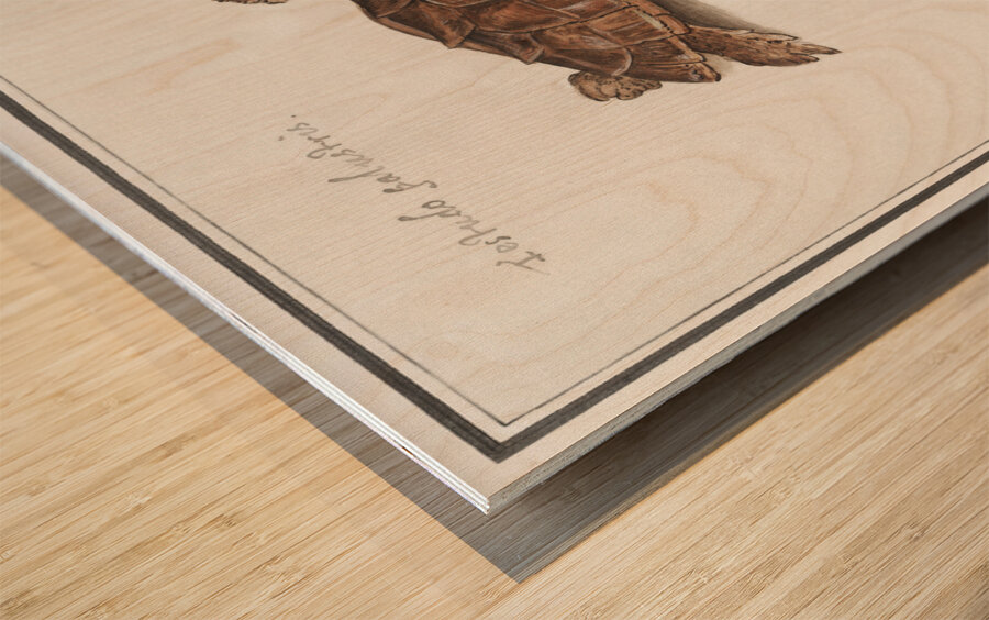 Sea turtle in vintage style Wood print