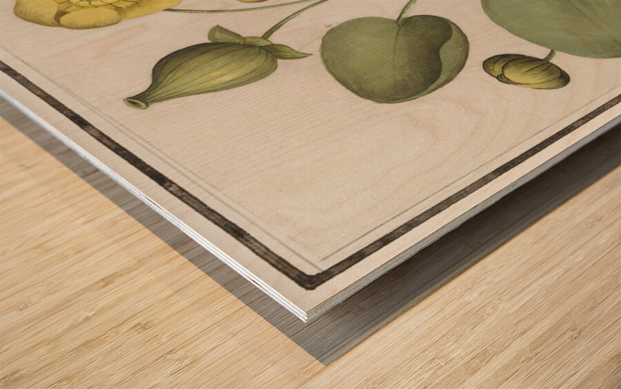 Yellow floppy flower Wood print