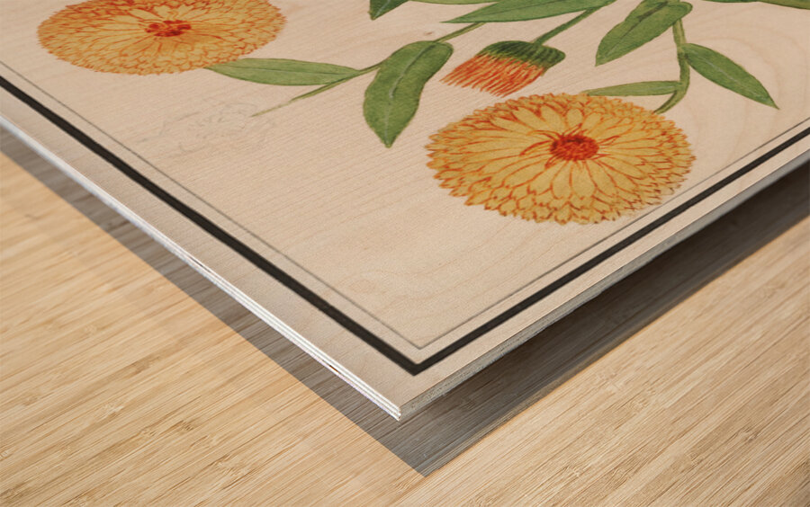 Barn owl in vintage style Wood print