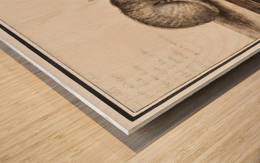 Cat in vintage style Wood print