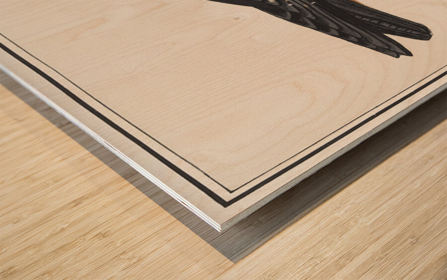 Lammergeier in vintage style Wood print