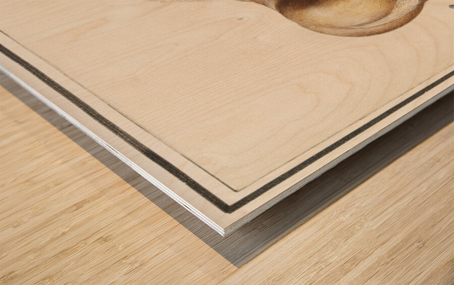 Horse in vintage style Wood print