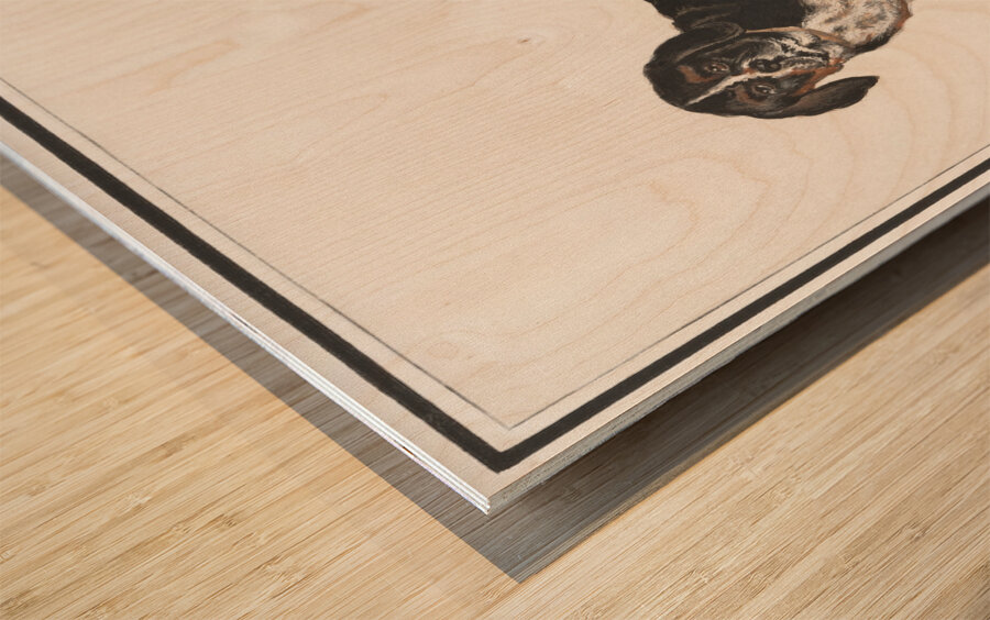 Dog in vintage style Wood print