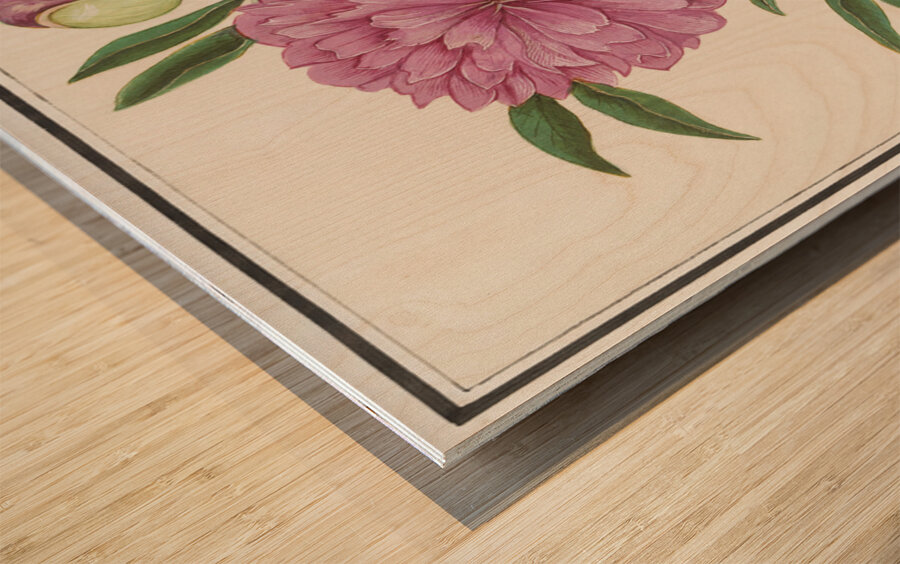 Peony in vintage style Wood print