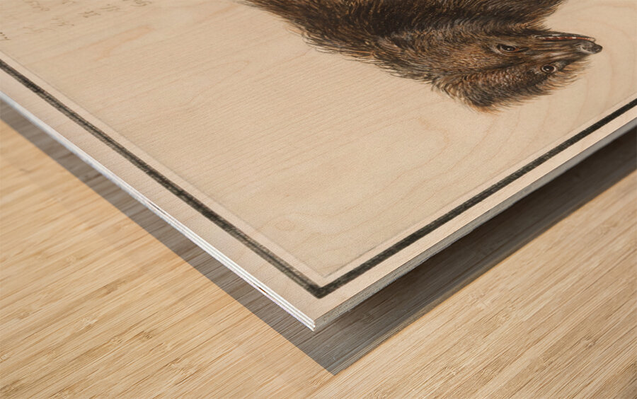 Grizzly bear in vintage style Wood print