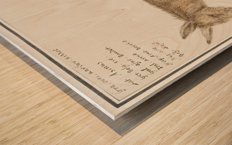 Donkey in vintage style Wood print