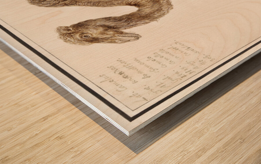 Camel in vintage style Wood print