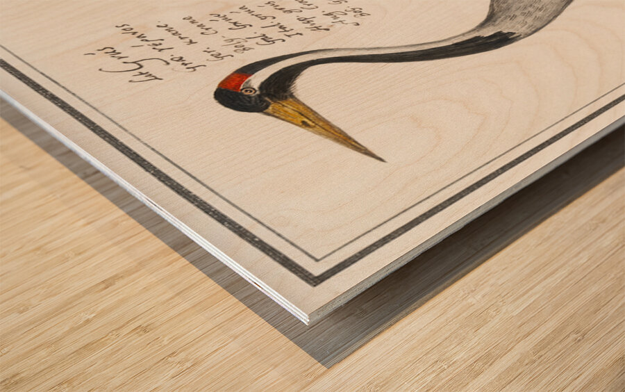 Crane in vintage style Wood print