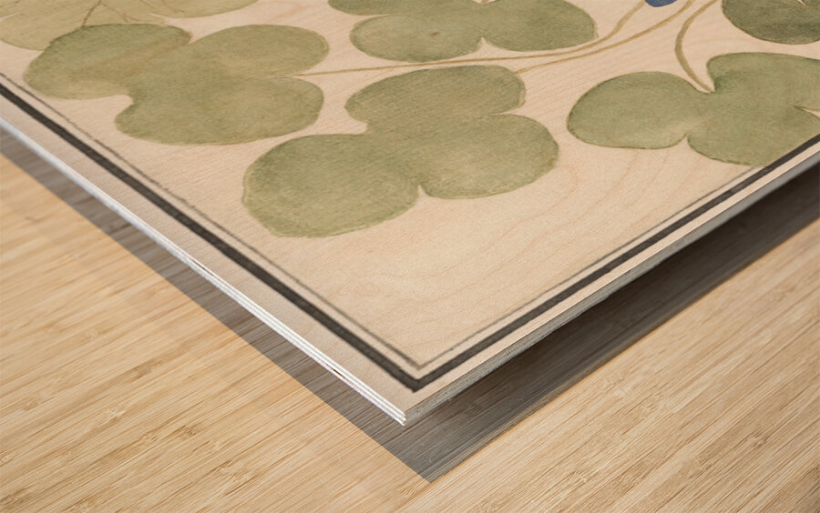 Hepatica in vintage style Wood print