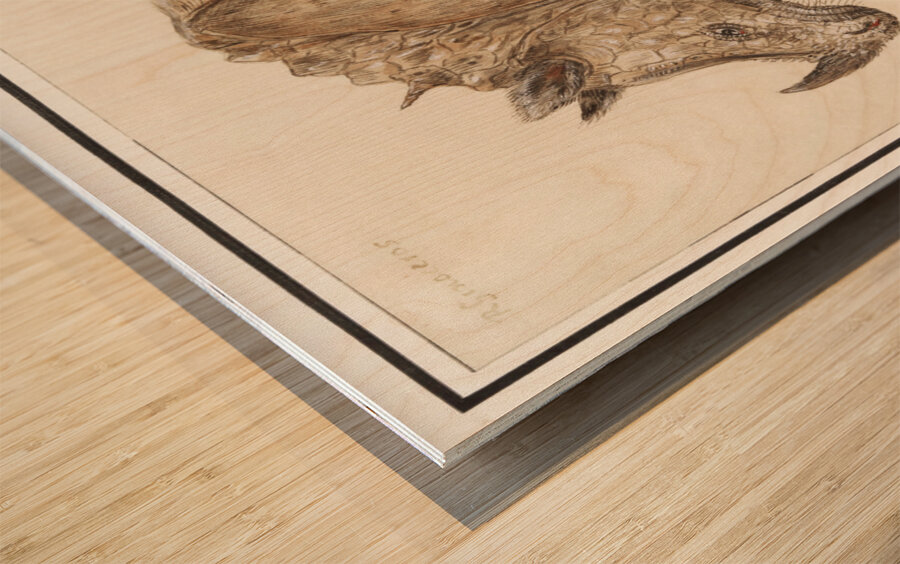 Rhinoceros in vintage style Wood print