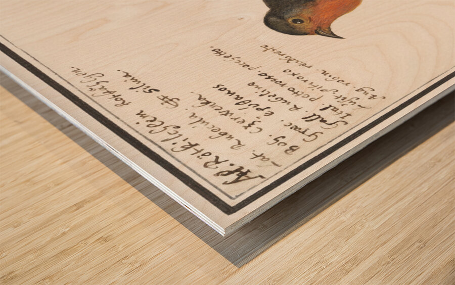 Robin in vintage style Wood print