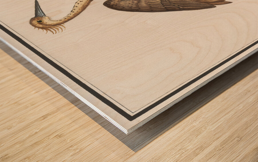 Heron in vintage style Wood print