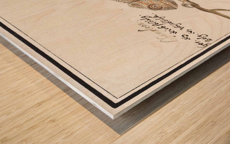 Chameleon in vintage style Wood print