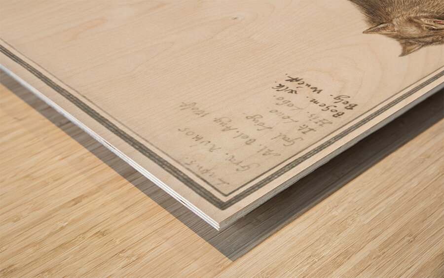 Wolf in vintage style Wood print