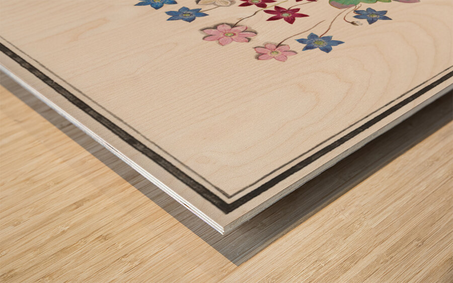 Liverleaf in vintage style Wood print