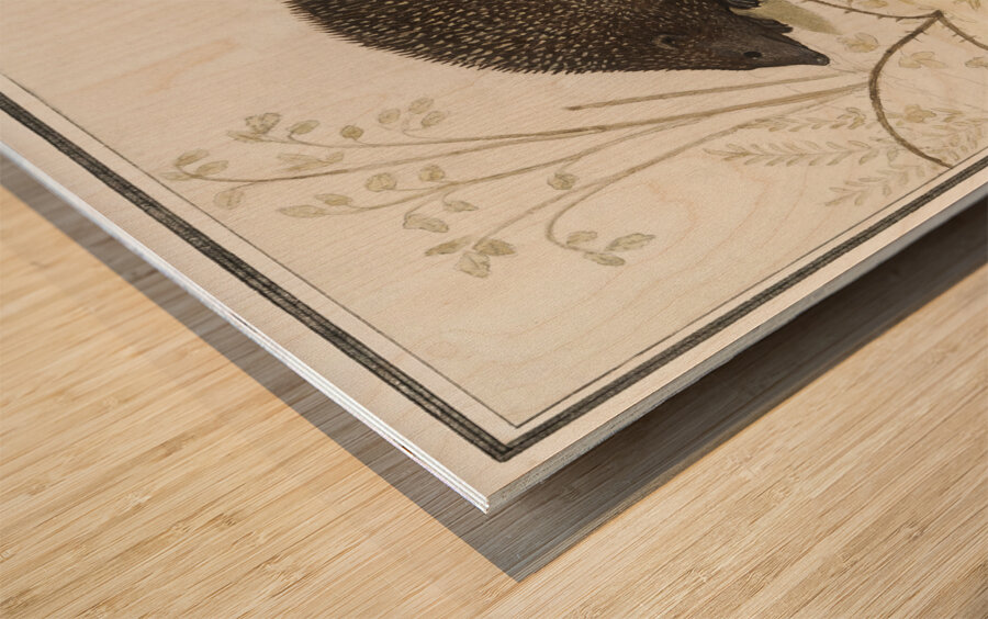 Hedgehog in vintage style Wood print