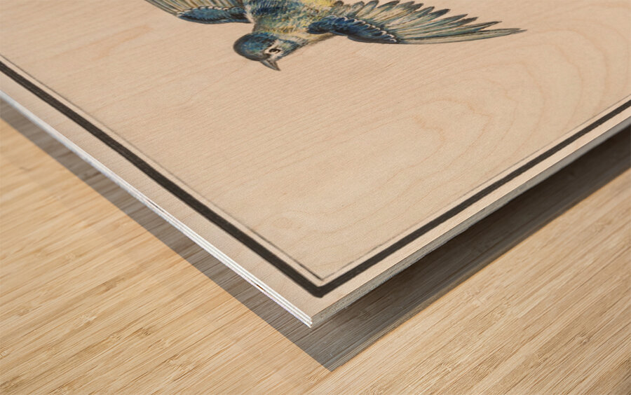 Passerines in vintage style Wood print