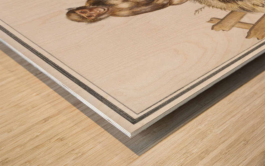 Monkey in vintage style Wood print