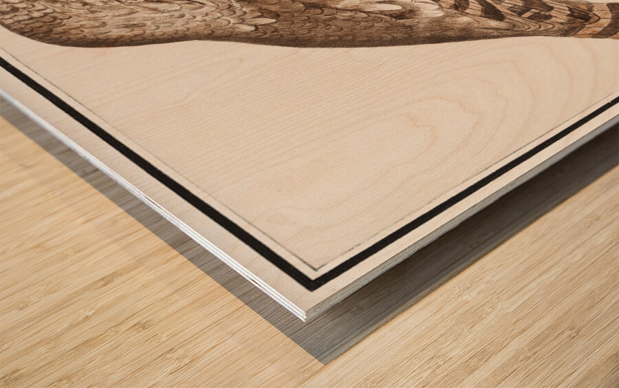 Owl in vintage style Wood print