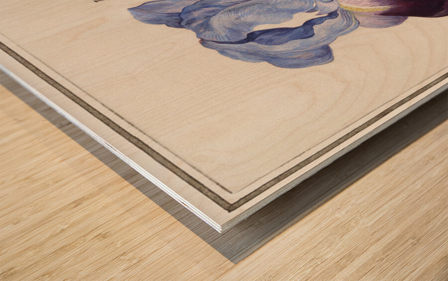 Purple iris in vintage style Wood print
