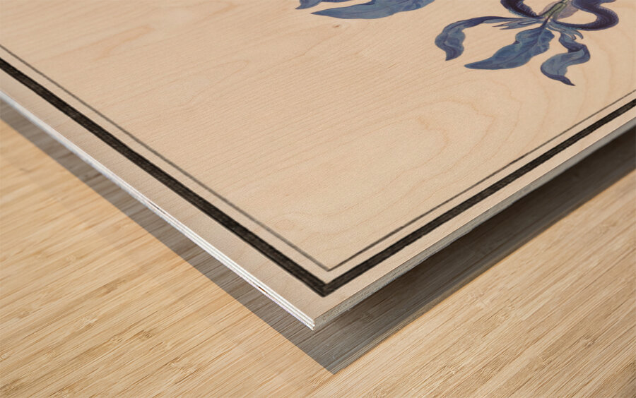 Purple iris vintage style Wood print