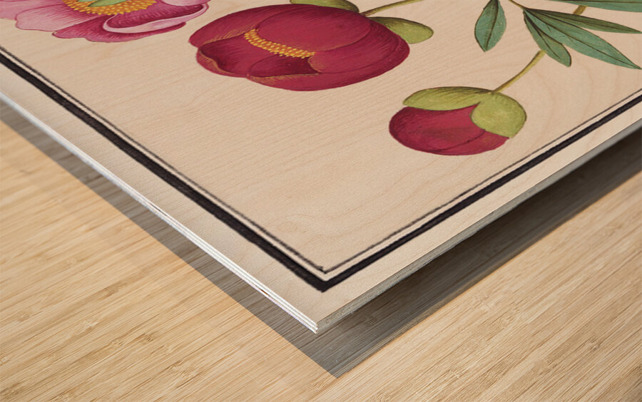 Peony in vintage style Wood print