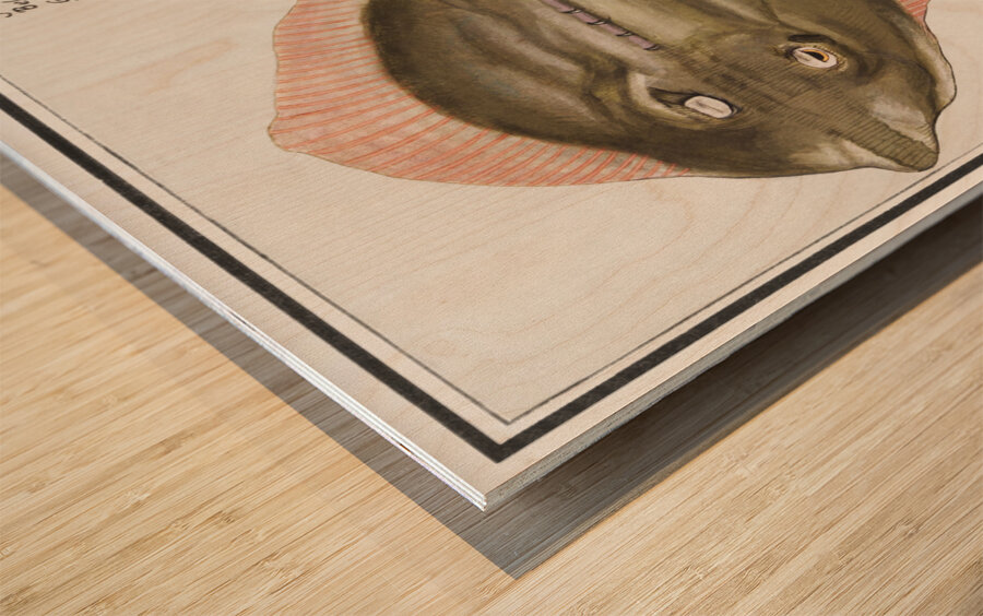 Rays in vintage style Wood print