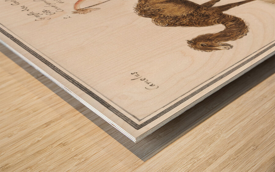 Anemone flower in vintage style Wood print