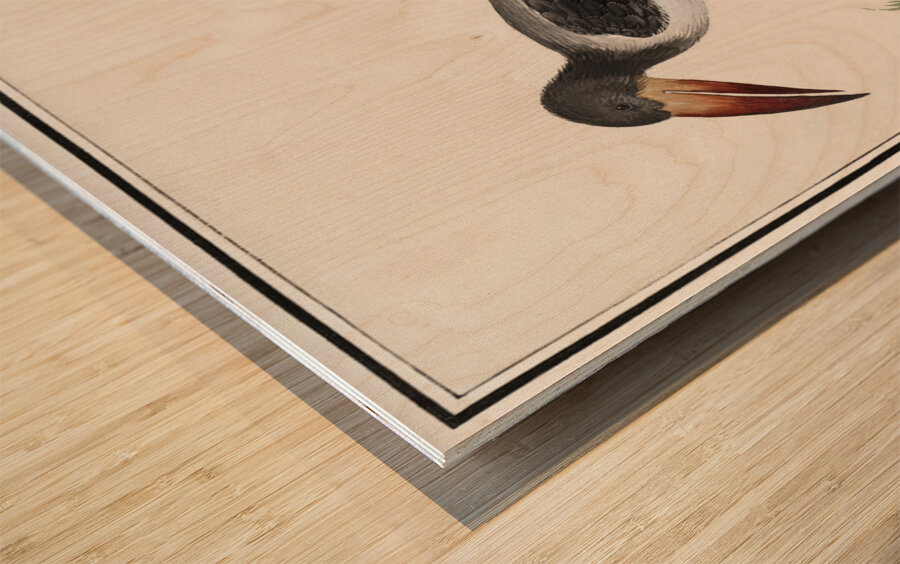 Unknown bird in vintage style Wood print