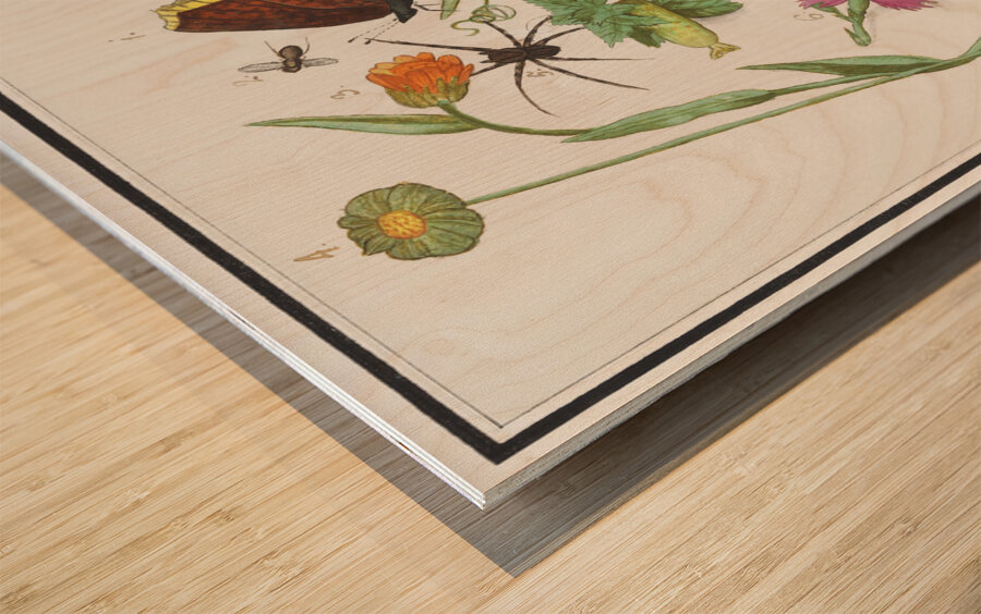 Nature ensemble in vintage style Wood print