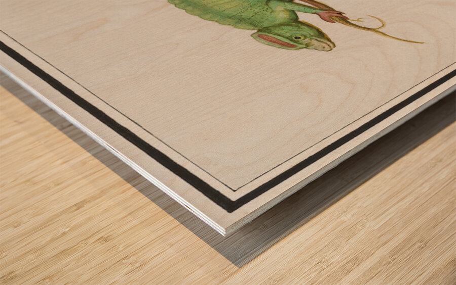 Chameleon in vintage style Wood print