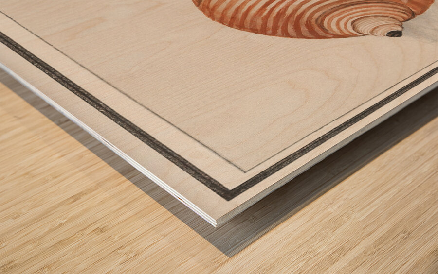 Sea shell in vintage style Wood print