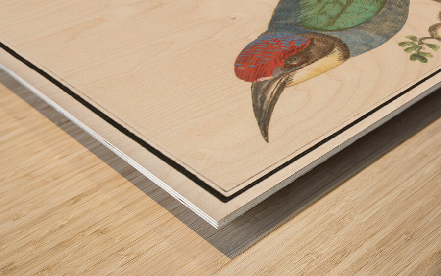 European bee eater in vintage style Wood print