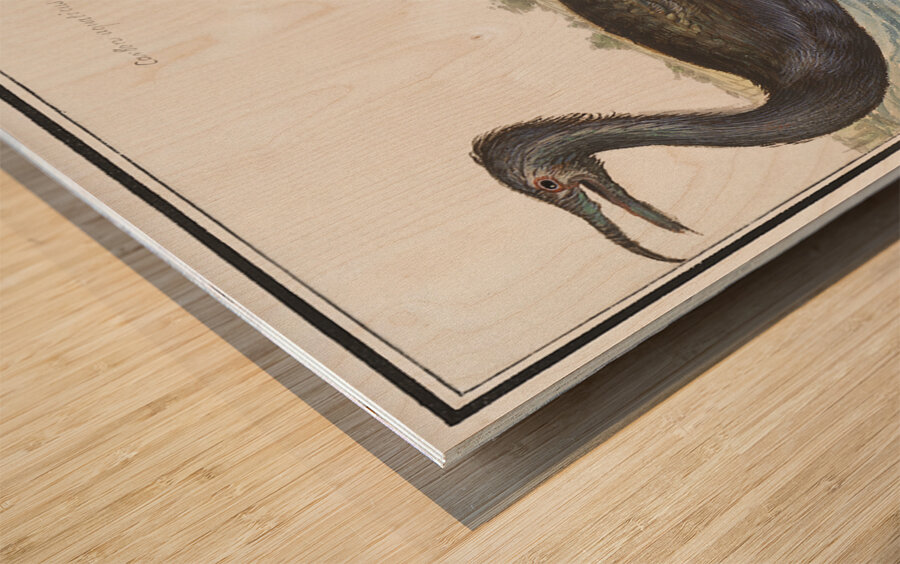 Cormorant in vintage style Wood print