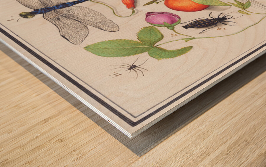 Nature ensemble in vintage style Wood print