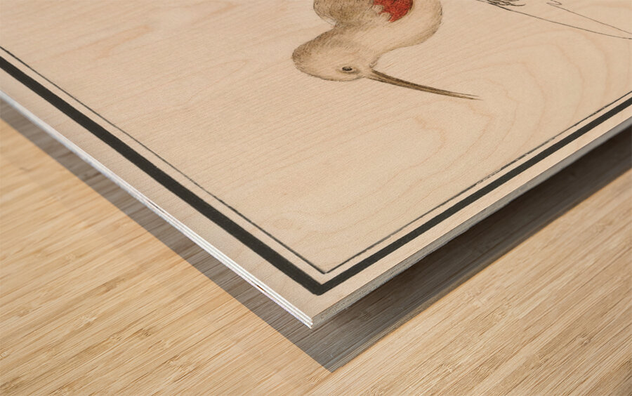 Wallcreeper in vintage style Wood print