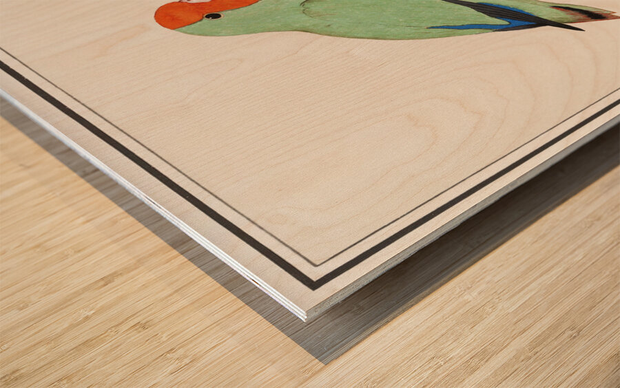 Wallcreeper in vintage style Wood print