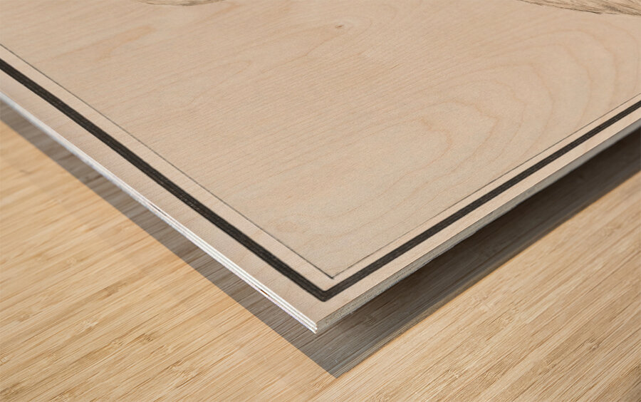 Wild swan in vintage style Wood print