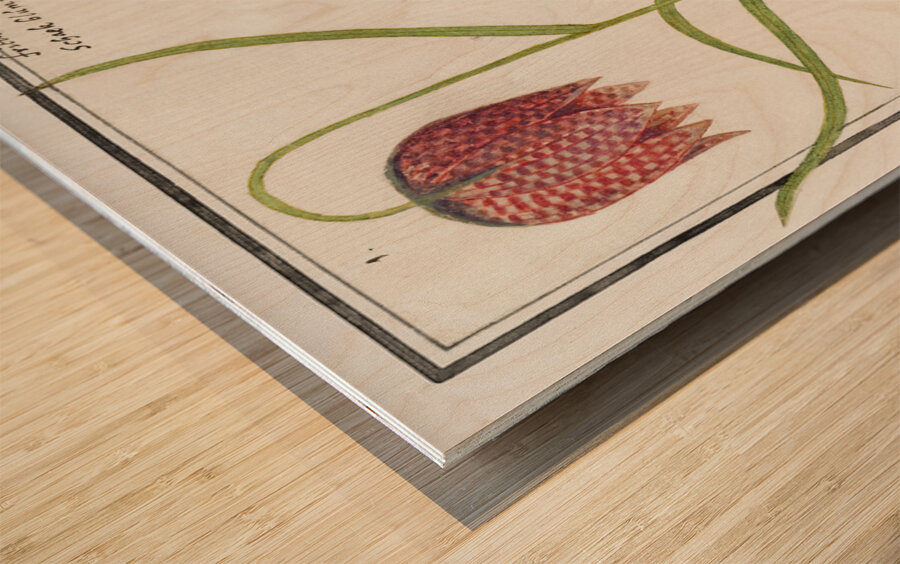 Snakes head flower and apple Wood print