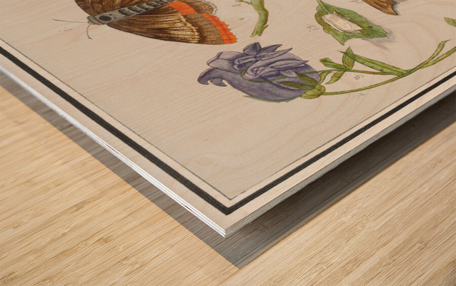 Nature ensemble in vintage style Wood print