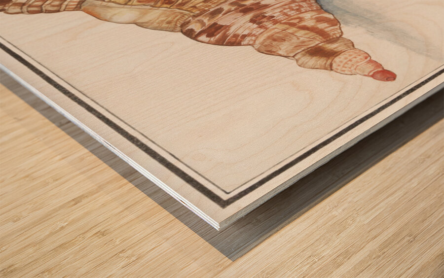 Tritons trumpet in vintage style Wood print