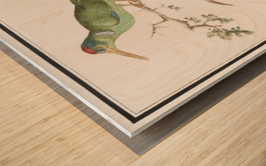 Sunbirds in vintage style Wood print